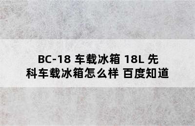 先科(SAST)BD/BC-18 车载冰箱 18L 先科车载冰箱怎么样 百度知道